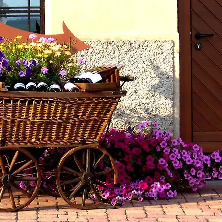Appartement Jeannala à Riquewihr Extérieur photo